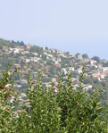 Click for enlargement